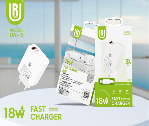 Adaptateur Secteur Universel AC à DC 12V 2A 24W Transformateur D'alimentation à Découpage Pour